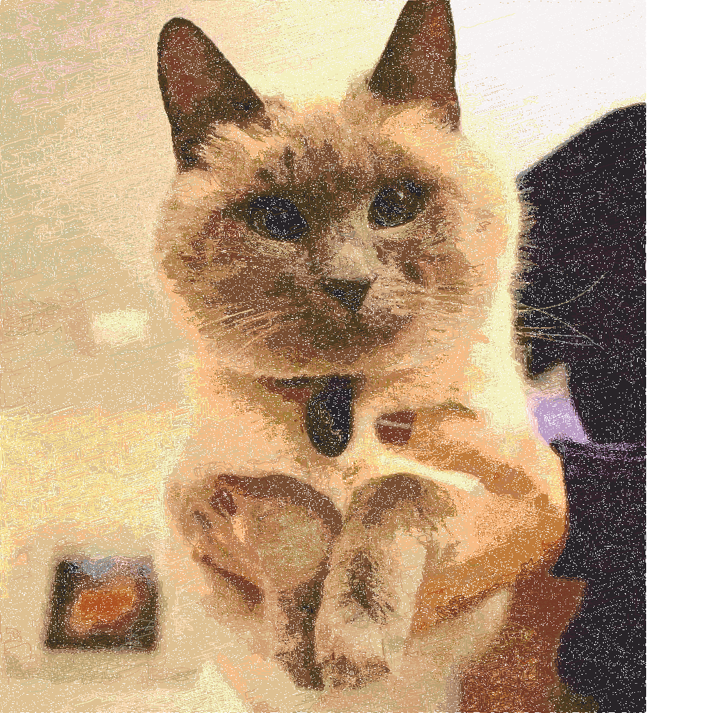 cat with correct colors